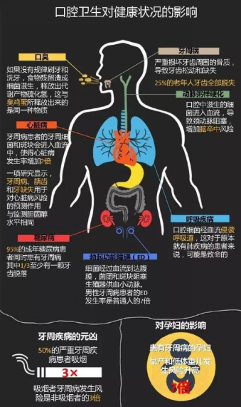 15319978586504932hxs.png 132.png