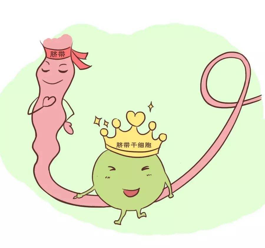 1566352306668854SYFS.png 圖片5.png